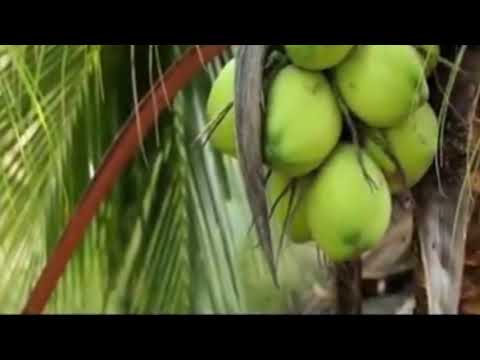 SOUND OF SILENCE /SLOWJAM REMIX 🎶