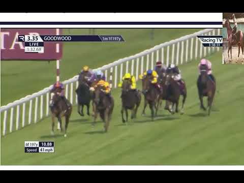 Race (4)  15:35 Goodwood 01 Aug 2024 Qatar Nassau Stakes