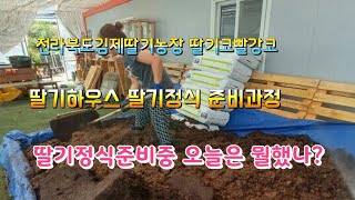 전라북도 김제 스마트팜 딸기코빨강코 딸기정식 D-10 상토포습하기