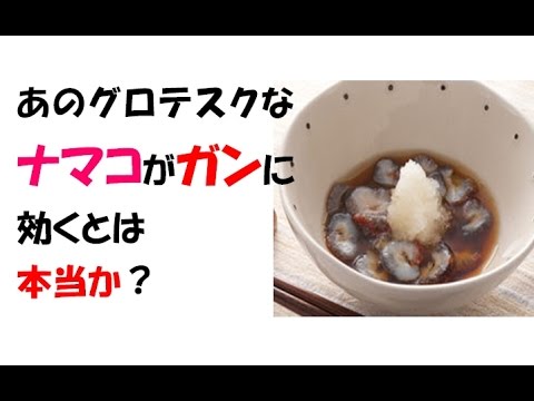 ナマコが癌(がん)に効く理由はフロンドシドAという物質。副作用なし | イケてる男子のブレインミルク