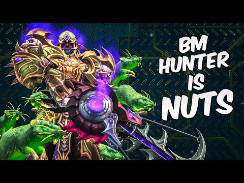 BM Hunter PvP TWW Is NUTS! Fun Class Spec Arena Gameplay
