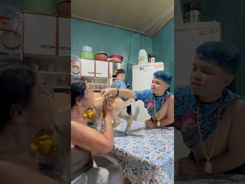 Ó bisa 🤣🤦🏻‍♂️ #viral #shorts #244 #fy