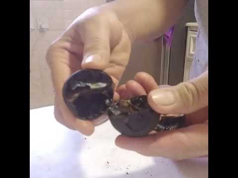 ODDLY Cracking Black Lemon  #short #lemon #short