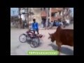 Comment disabled