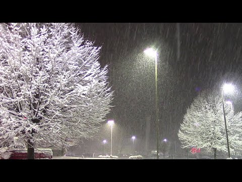 Heavy Snowfall - Greenville, MI 12-4-16