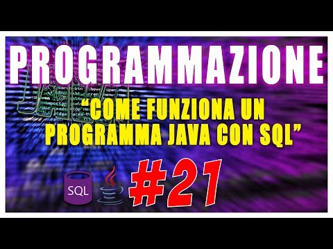 COME FUNZIONA UN PROGRAMMA JAVA CON SQL | PROGRAMMAZIONE # 21 | Vita Da Founder