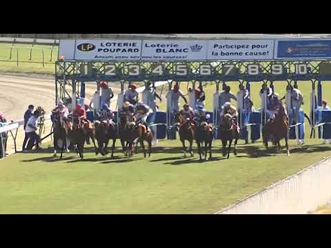 RM3 R2 | Black Indy | C.Segeon