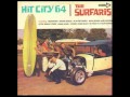 The Surfaris  Scatter Shield