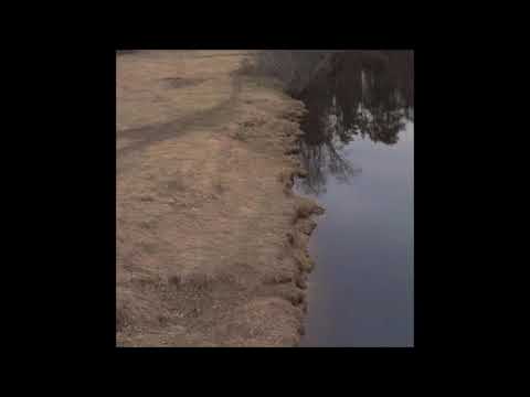 02. Gloomscott - Shadow