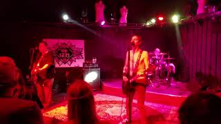 Gutter and the Onslaught - &quot;Cat in the Brain&quot; Cancerslug Cover 2/17/18