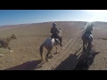 Galloping the Sahara in Morocco - Horses, Dunes and Nomads Ride