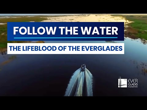An Everglades Documentary: Follow the Water