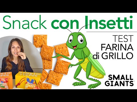 Snack 2.0 con farina di grillo - eating the future - SMALL GIANTS