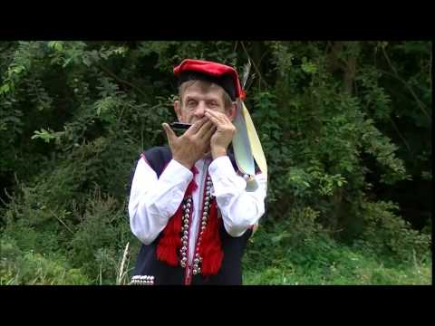 Polka "Wisiały, wisiały" wykonana na harmonijce ustnej przez Tadeusza Nalepę z Nieprowic