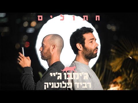 Video thumbnail for Chatulim - חתולים