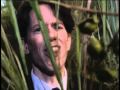 King Weed They Might Be Giants Official Video