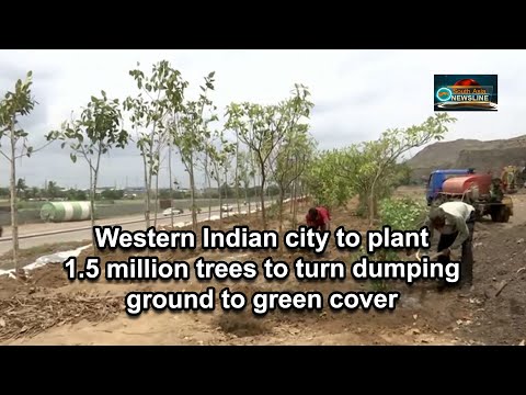 Western Indian city to plant 1.5 million trees to turn dumping ground to green cover