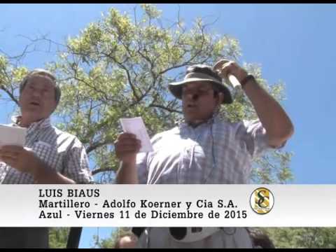 11-12-15 Nota Luis Biaus - Adolfo Koerner y Cia S.A. - Azul.