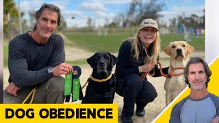 Dog Obedience Training Q&A Dog Training Tips and Advice - ask me anything