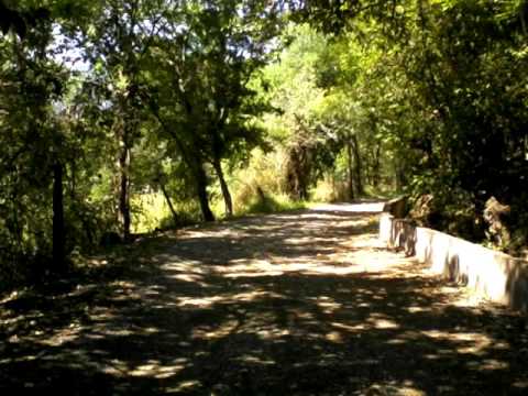 Canto de las urracas