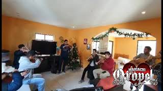 Las rejas no matan mariachi Oropel ♥️
