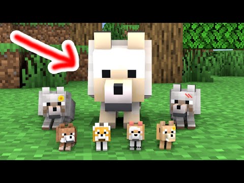 A HUGE DOG - Minecraft Animation