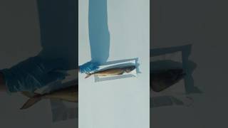 Download lagu BAŁTYK (2025) | film Igi Lis | spot: RYBKI 30s 9x16 | w kinach od 22 sierpnia mp3 Download lagu BAŁTYK (2025) | film Igi Lis | spot: RYBKI 30s 9x16 | w kinach od 22 sierpnia mp3