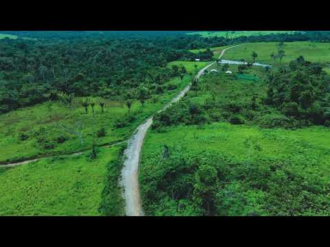 Ramal do Paranã em  Guajará, Amazonas