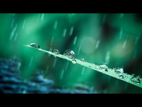 Spring Rain Sounds for Sleep, Studying, Focus | Nature White Noise 10 Hours Video