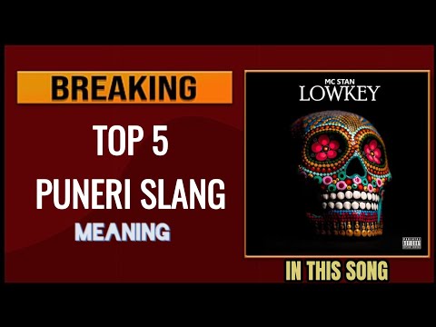 MEANING OF PUNERI SLANG | MC STAN LOW - KEY SONG | MUST WATCH YOUR HELP ✨😙