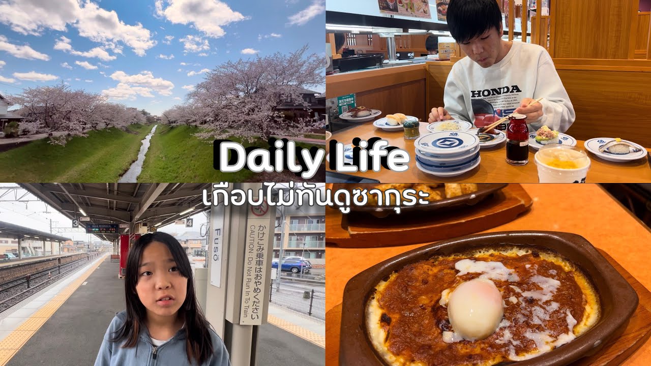 ชีวิตในญี่ปุ่นปี5•37 ไปดูซากุระกันที่บ้านพักรายวัน เข้าเมืองนาโกย่าไปรับรถเช่า ซากุระมาไวไปไว