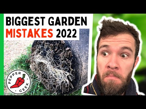 Top 5 Pepper Growing Mistakes of 2022 - Pepper Geek