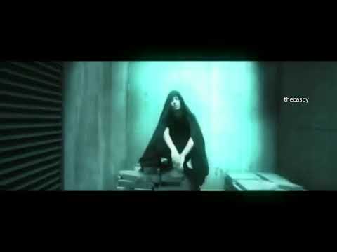 zeamsone nie wie co jest co