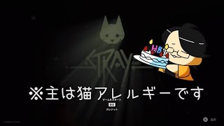 【stray】明けましておめでとうございます。