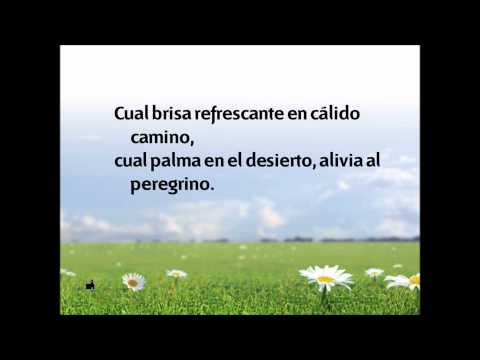 536 En sombras de la tarde