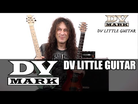 DV Mark Little guitar G1 sunburst image 8