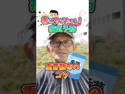 野菜の種まき：春の植え付けに備えて、今すぐ自宅で夏野菜を始めましょう！  庭園