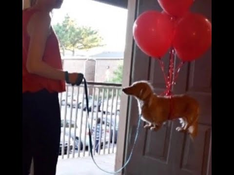 New Bloodstone sound effect