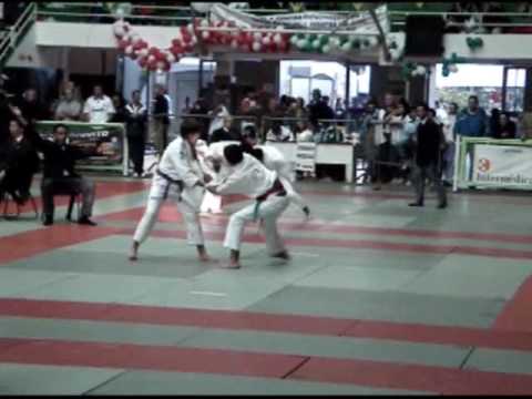 Fabiano Faustino   Periquito