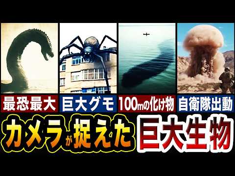 IUCN分類における絶滅の危険性を示す図。