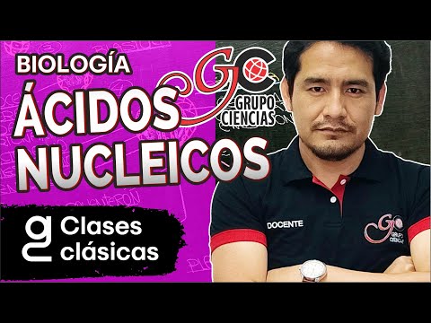 BIOLOGÍA - Ácidos nucleicos [ZOOM]