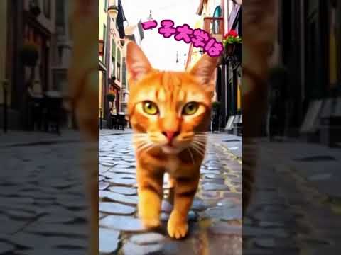 猫でも歩いて行けちゃう！？😻 #大学生 #猫 #ai #cat #shorts #shortsvideo