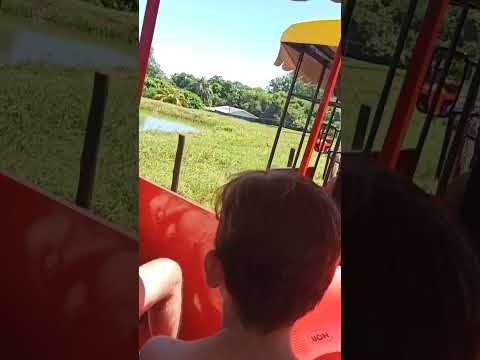 Estância Weber Mercedes PR. 