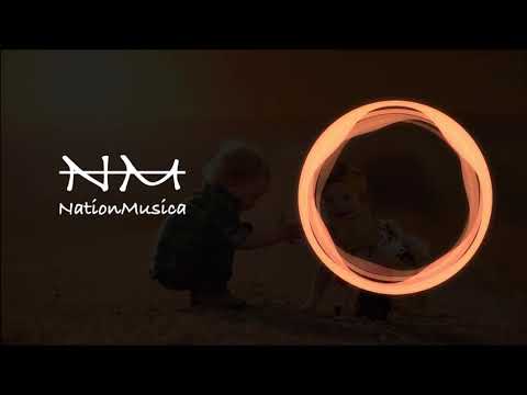 TFLM, Nadro & Anikdote - Take My Hand (feat. Timmy Commerford) | No Copyright