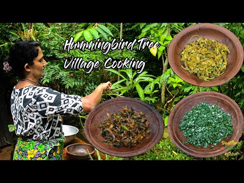 Healthy Village Food❤️ | ගමේ රසට කතුරුමුරුංගා | Hummingbird Tree Recipes | Easy To Make 03 Recipes