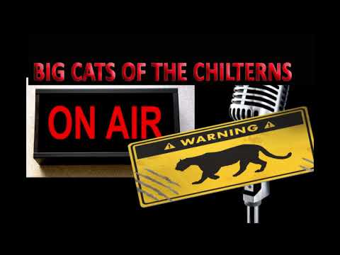 Big Cat Sightings in Buckinghamshire, Talk Radio