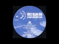 Fierce Ruling Diva - You Better Take This (Trance) (1993)