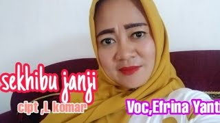 Download lagu Lagu lampung terbaru - SEKHIBU JANJI - Cipt,L komar - Cover,Efrina Yanti mp3