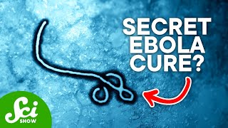 How 6 Rare Diseases Are Changing Everyday Medicine