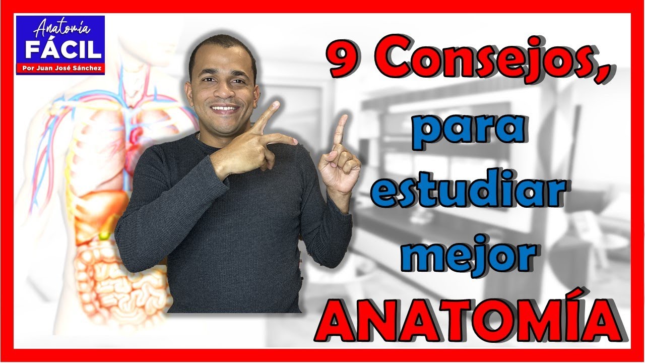 🥇 ¿Cómo Aprender ANATOMÍA de manera Fácil, Rápida y Sencilla? ¡9 Consejos!